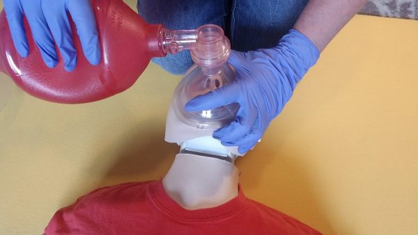 Standard First Aid & CPR Level HCP (BLS) – BLENDED